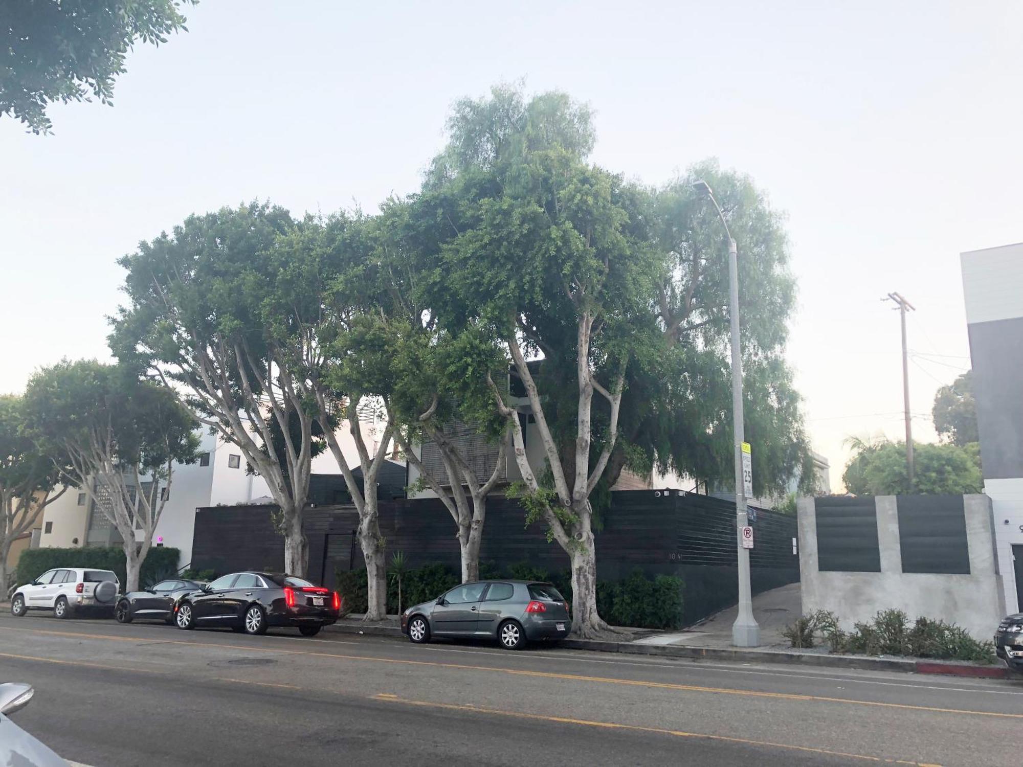 Venice Beach Studio With Large Private Patio Steps To The Beach Los Angeles Bagian luar foto