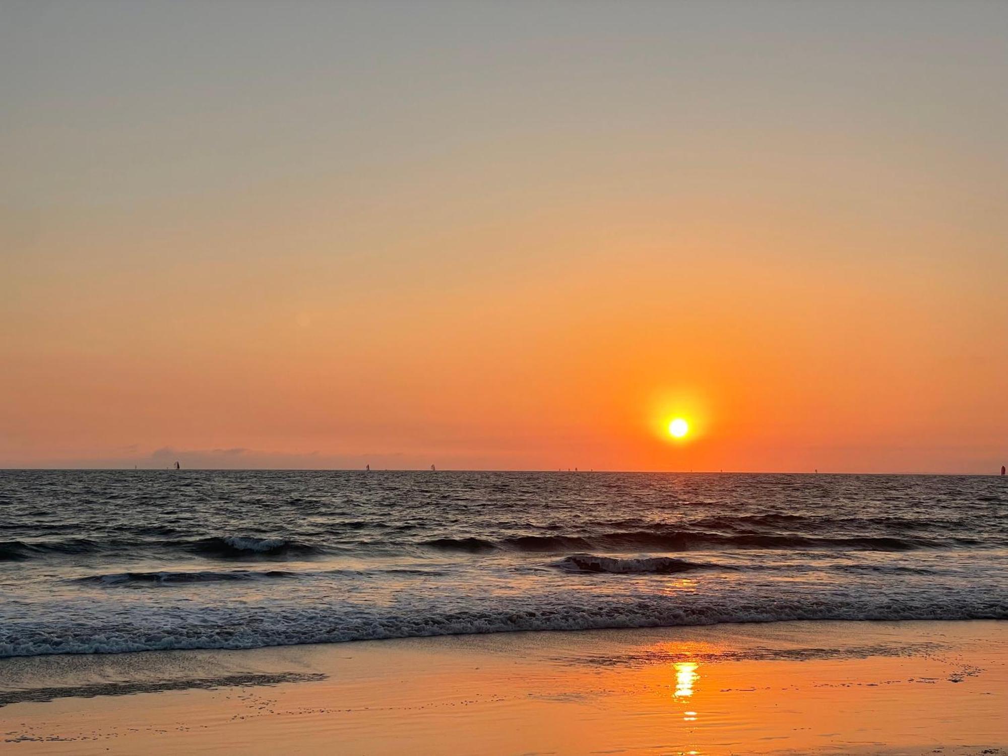 Venice Beach Studio With Large Private Patio Steps To The Beach Los Angeles Bagian luar foto