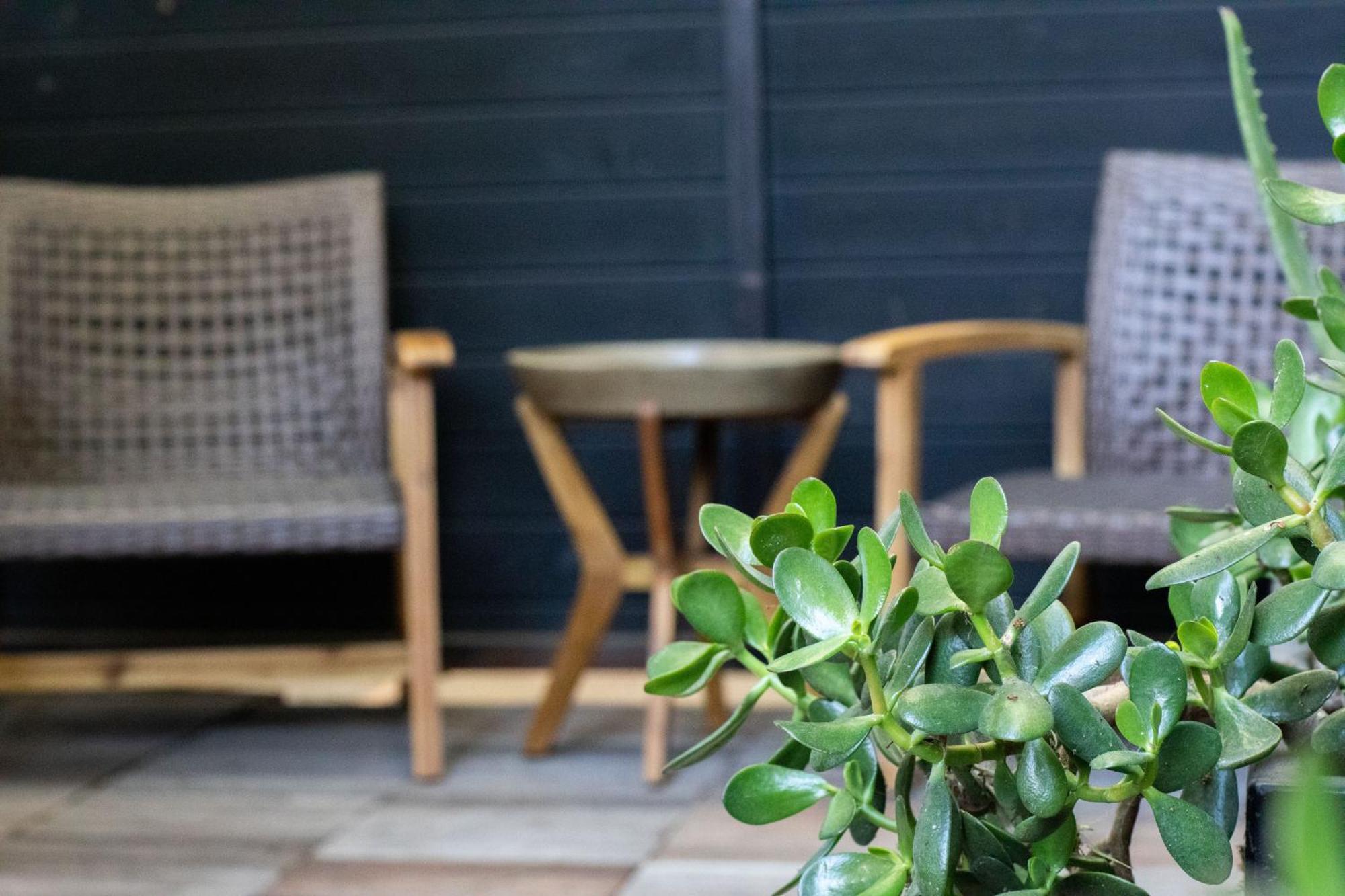 Venice Beach Studio With Large Private Patio Steps To The Beach Los Angeles Bagian luar foto