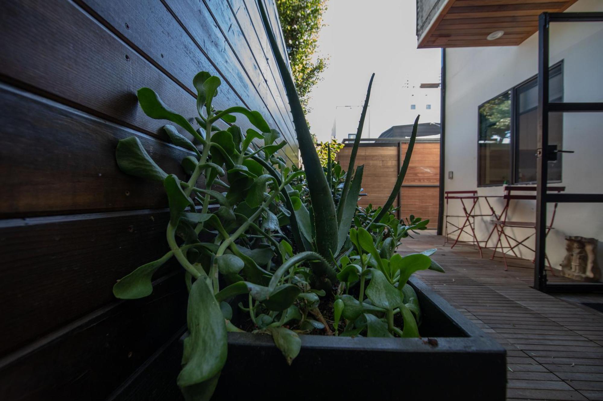 Venice Beach Studio With Large Private Patio Steps To The Beach Los Angeles Bagian luar foto
