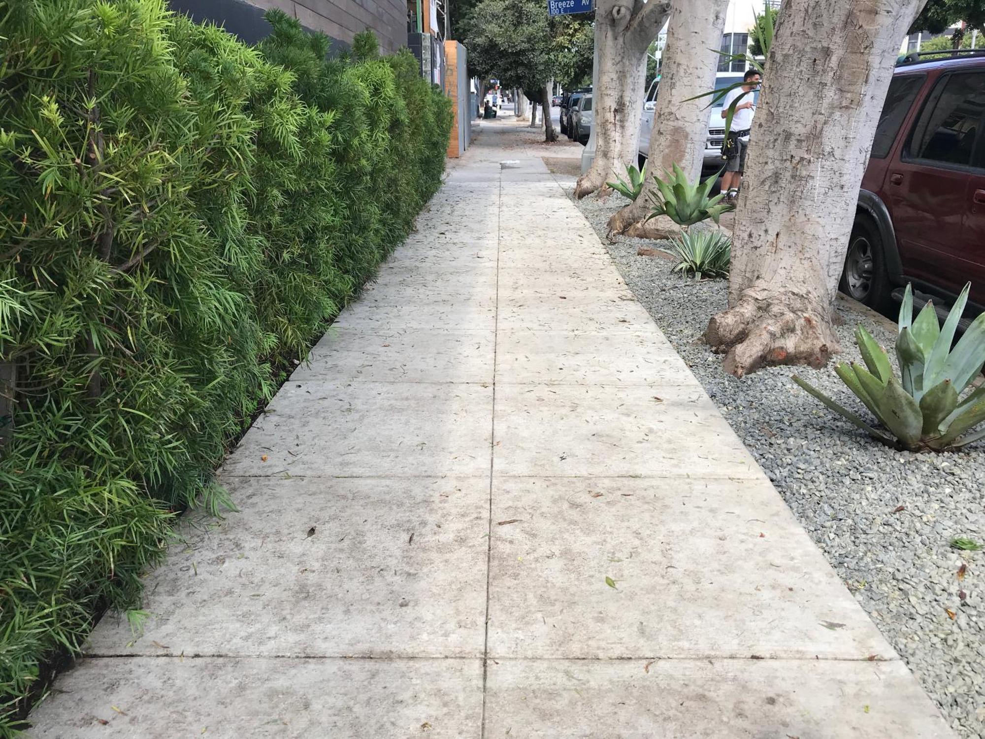 Venice Beach Studio With Large Private Patio Steps To The Beach Los Angeles Bagian luar foto